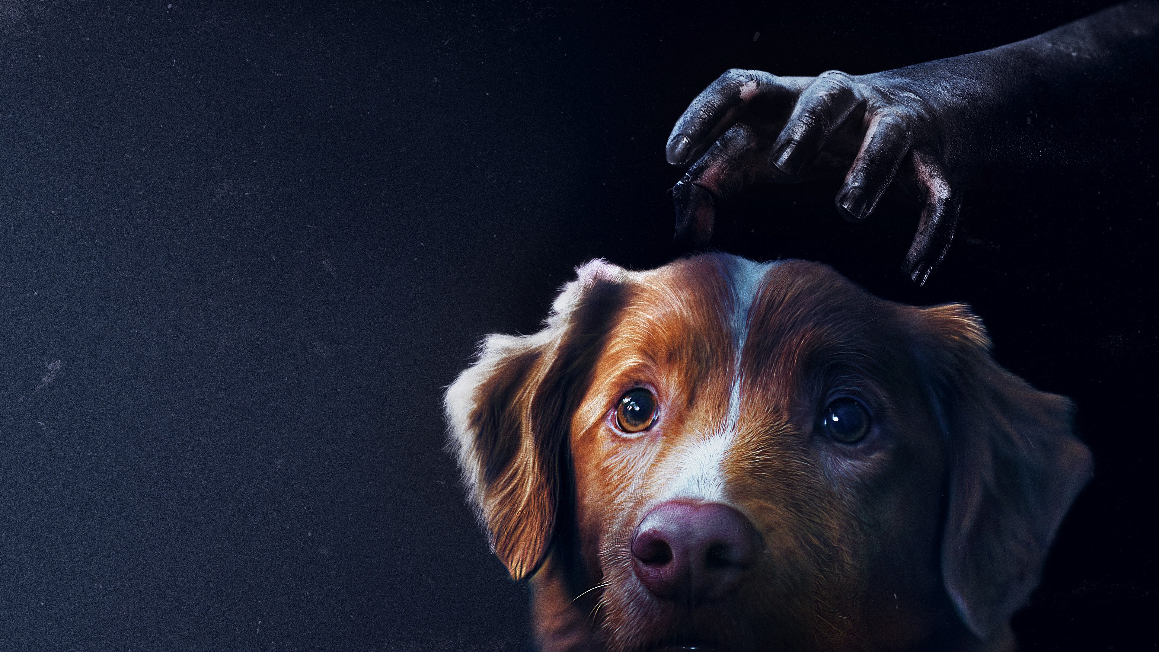 Good Boy countdown timer - Movies