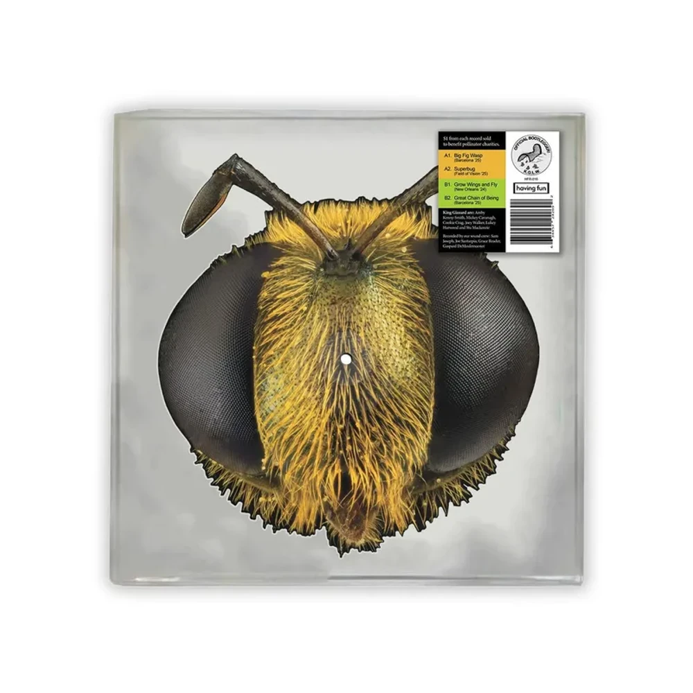 King Gizzard & The Lizard Wizard - Big Fig Wasp Release Date countdown timer - Music