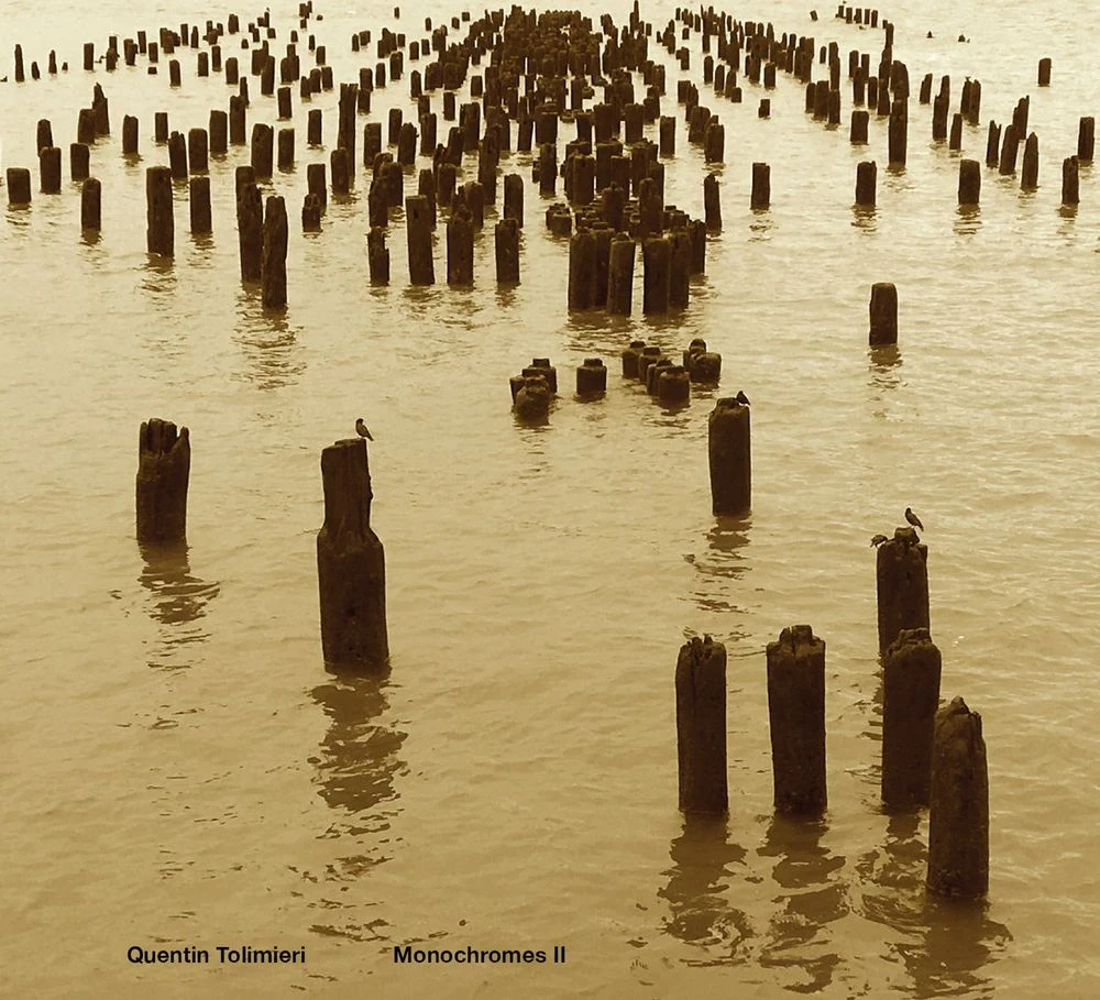 Quentin Tolimieri - Monochromes II Release Date countdown timer - Music