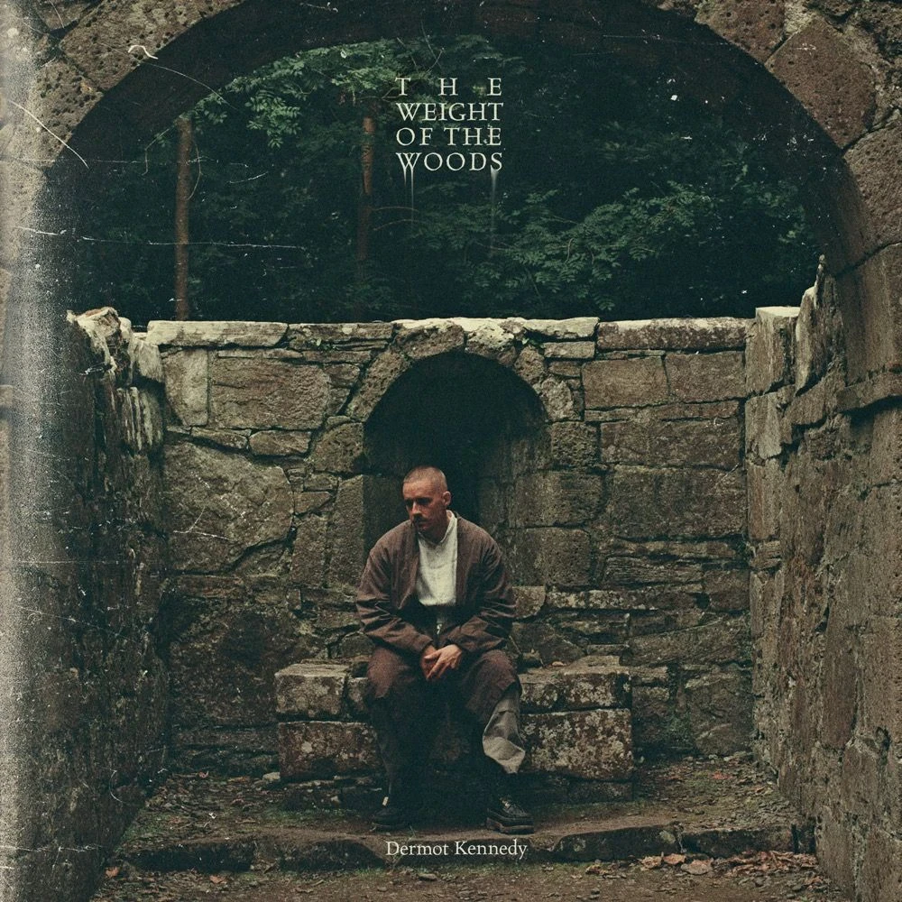Dermot Kennedy - The Weight of the Woods Release Date countdown - Music
