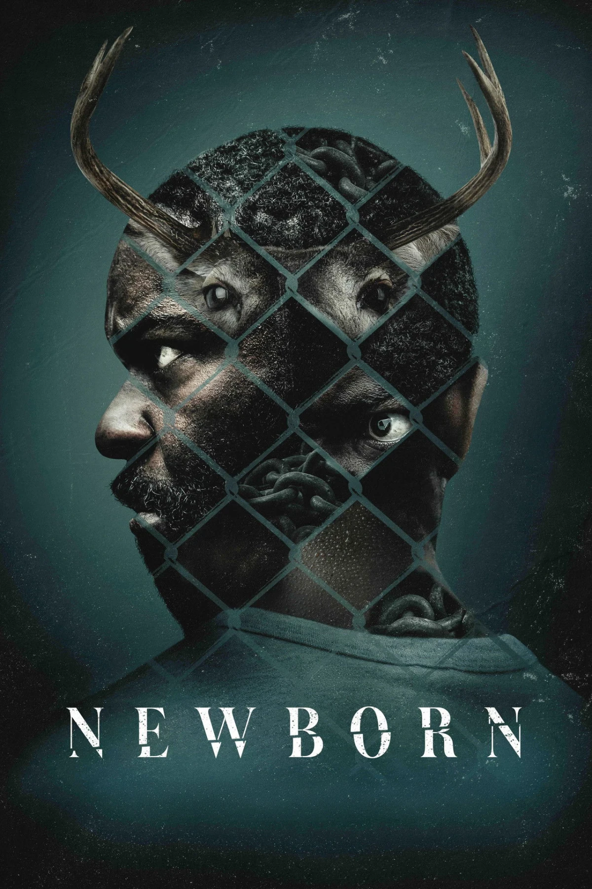 Newborn countdown - Film