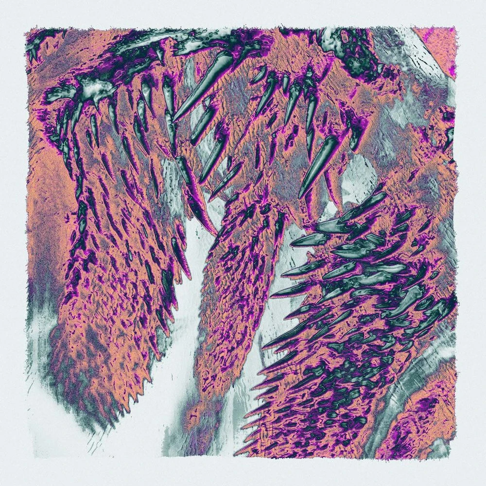 Throwing Snow - Canines Release Date countdown - Music