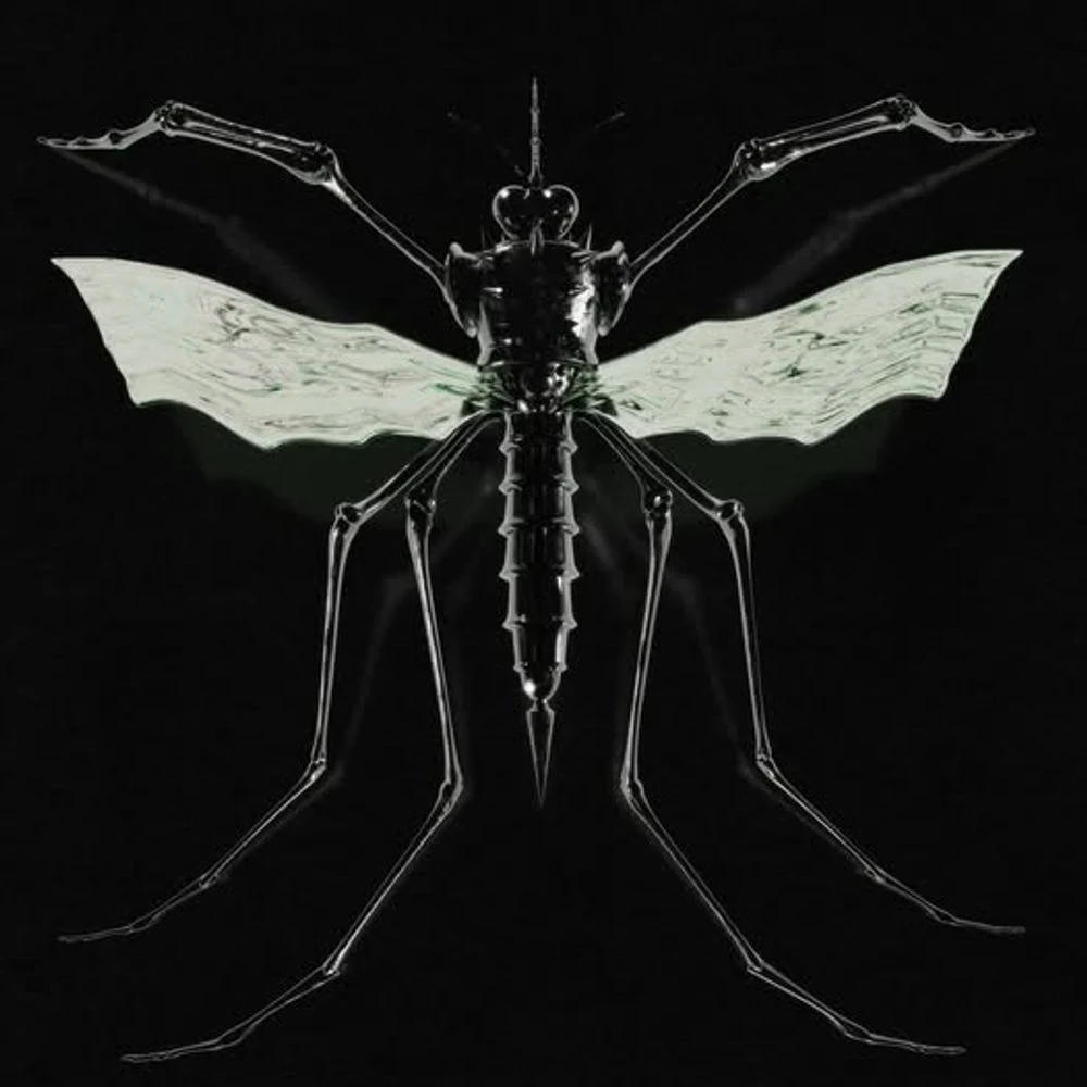Wax Head - GNAT Release Date countdown - Music