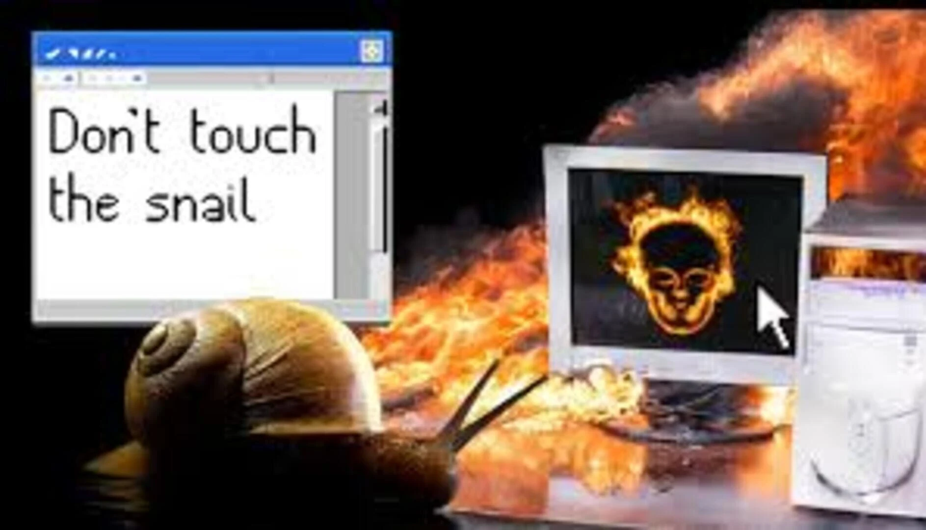 Don't Touch the Snail countdown - Game