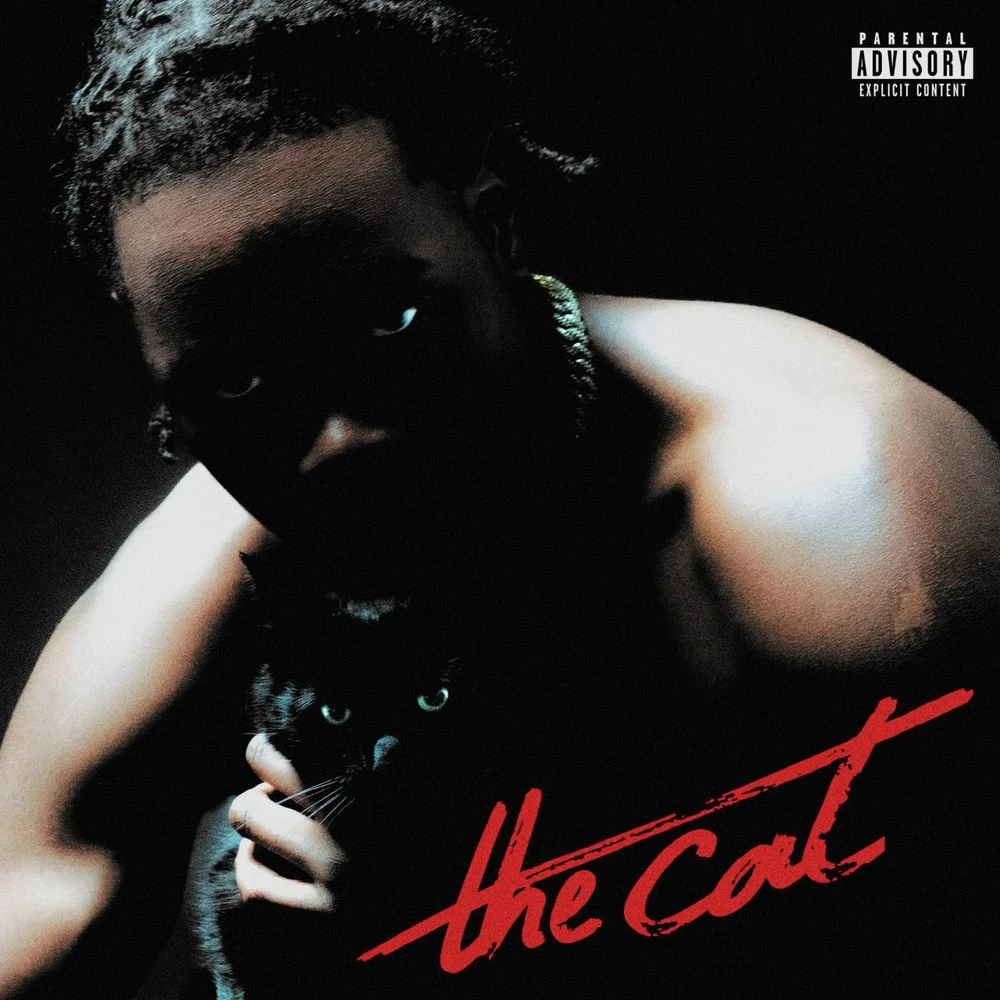 Nono La Grinta - THE CAT Release Date countdown - Music