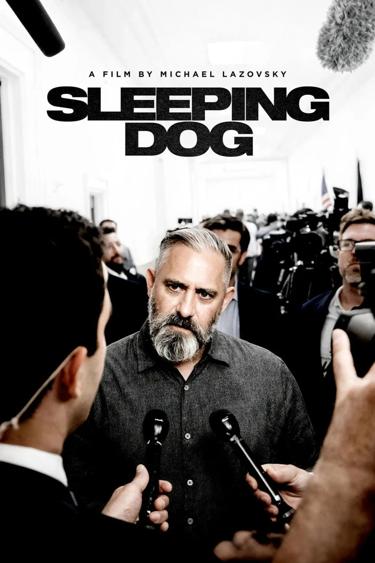 Sleeping Dog countdown - 电影