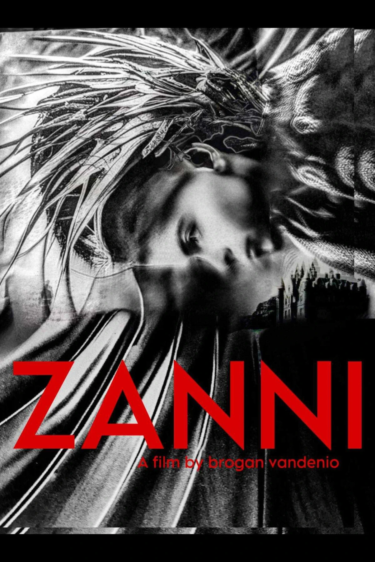 Zanni countdown - Film
