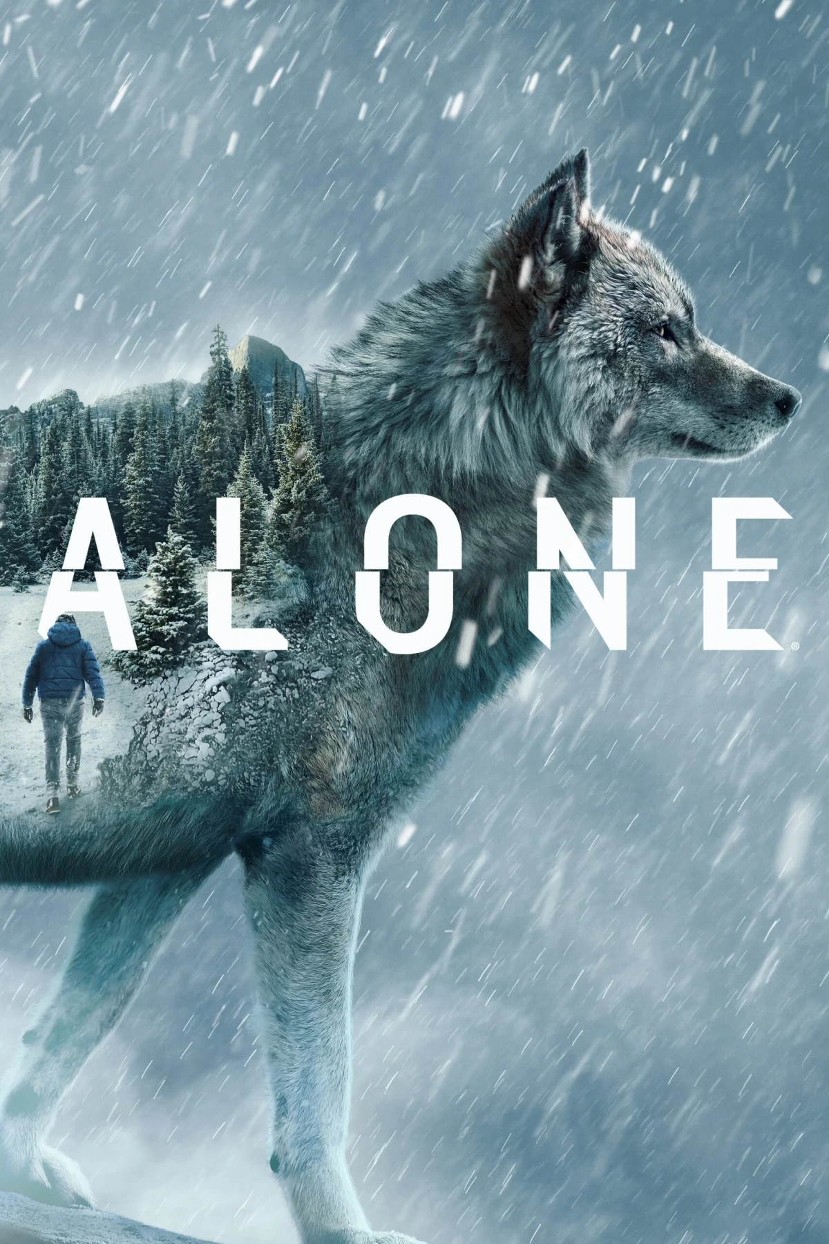Alone — Season 13 countdown - ТВ