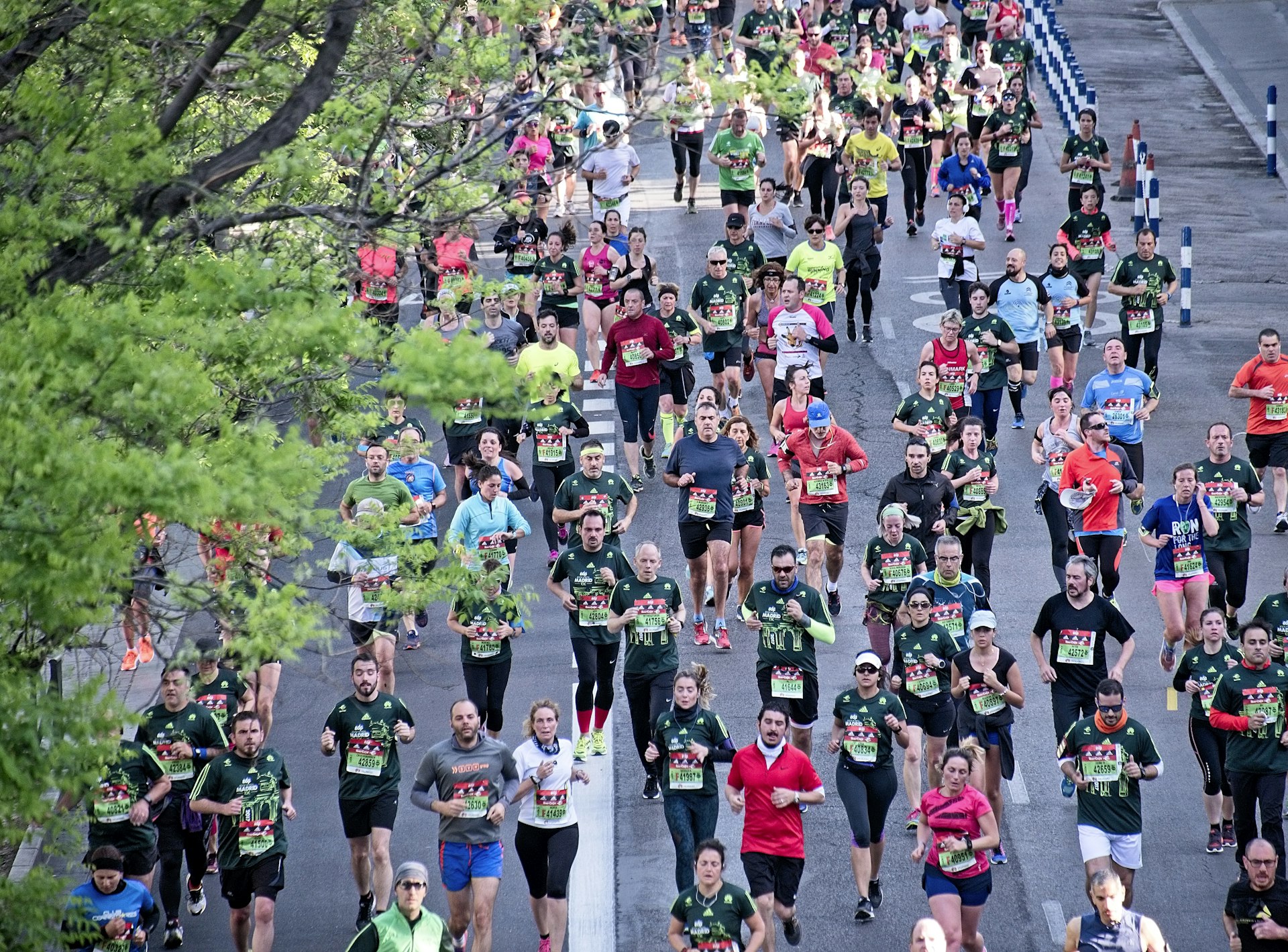 Great South Run countdown - Sport