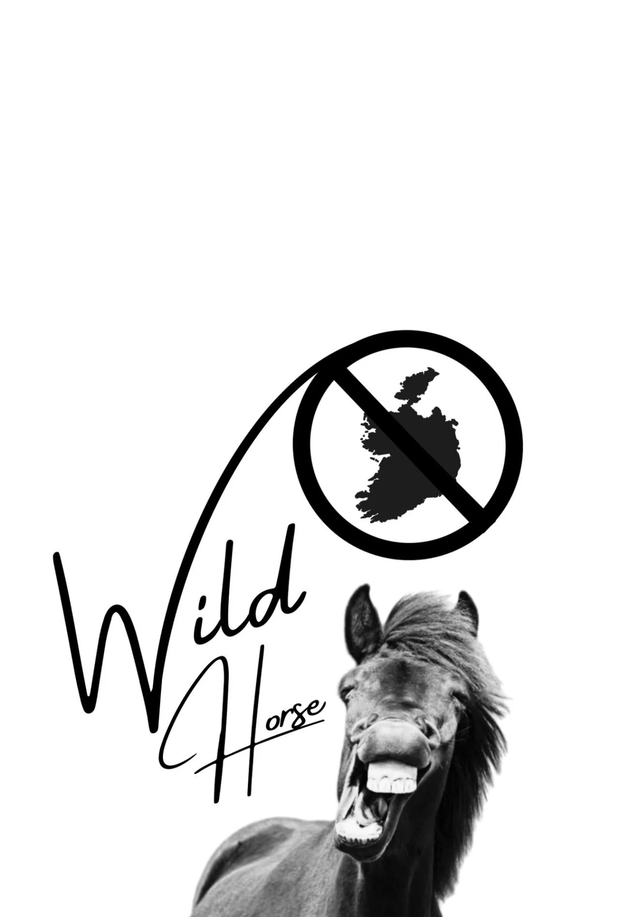 Wild Horse Nine countdown - Film