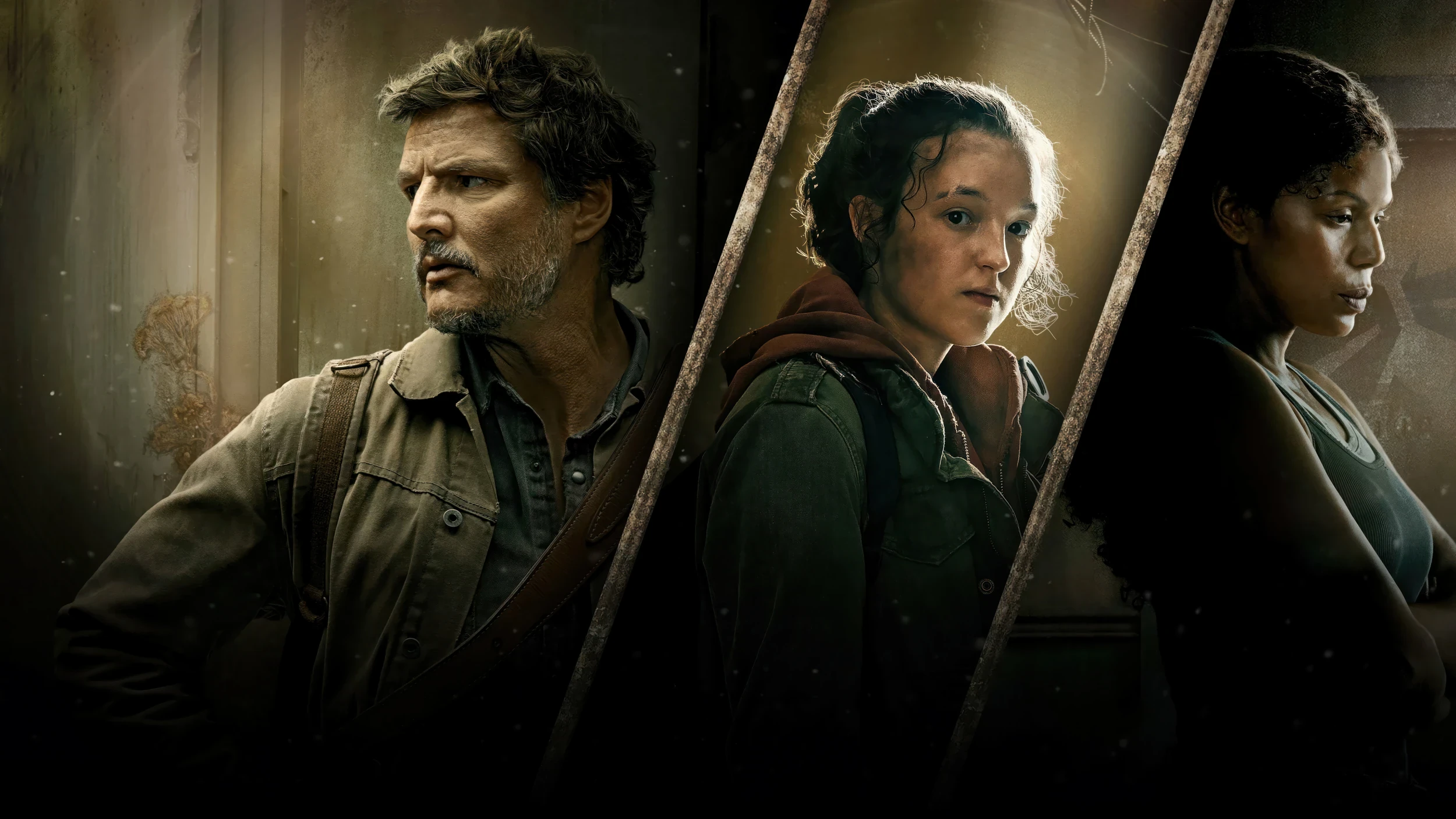 The Last of Us — Season 3 countdown - TV