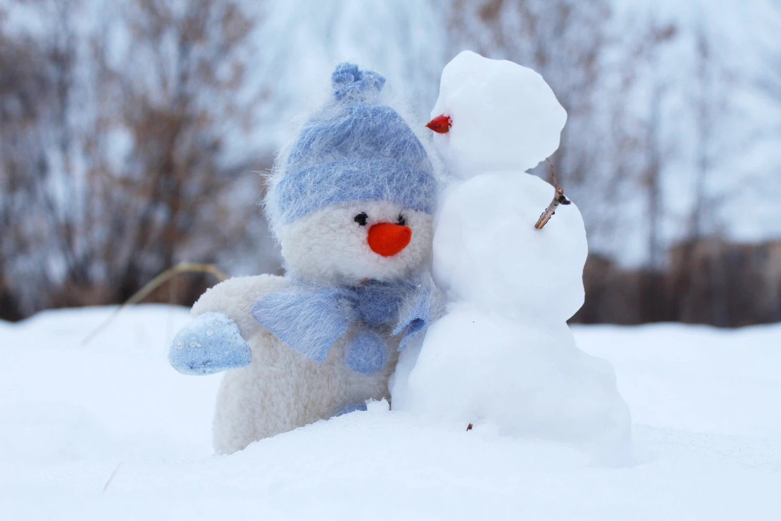 Snowman Burning Day countdown - Event